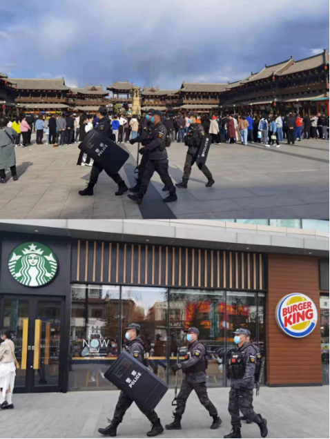 5.png