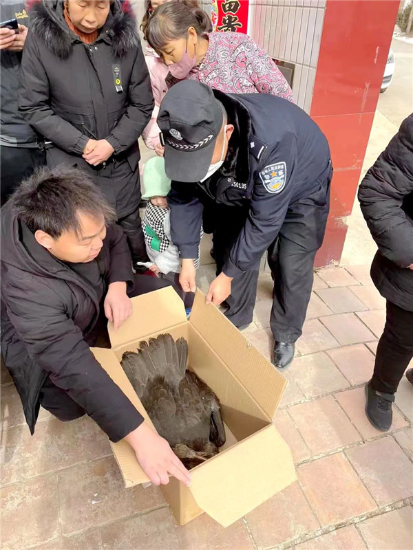 保护2_副本.jpg