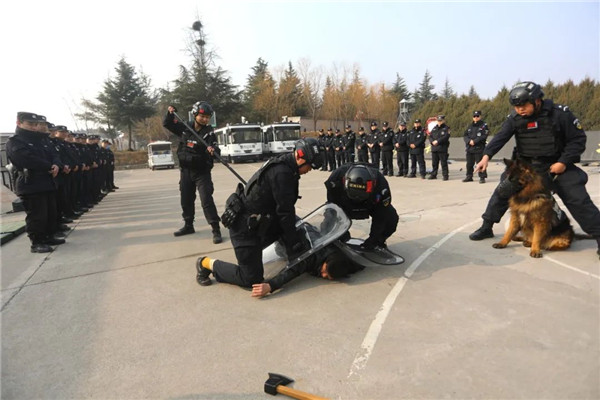 春季练兵正当时 6.jpg