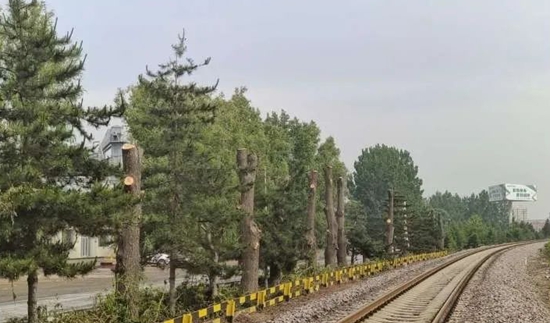 640.jpg
