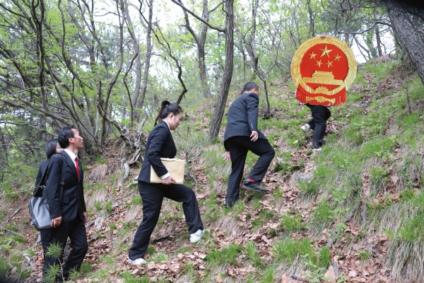 环境资源案件审理.jpg