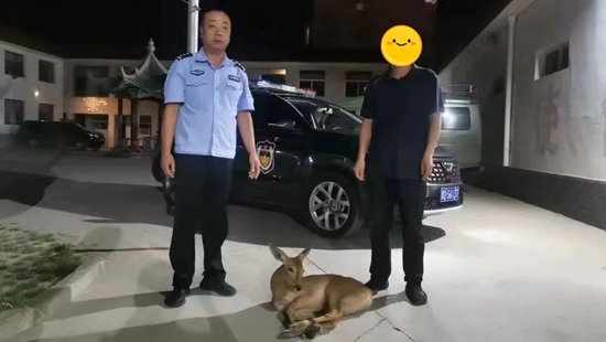 微信图片_20240613091914.jpg