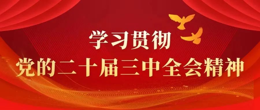 微信图片_20240828155042.jpg