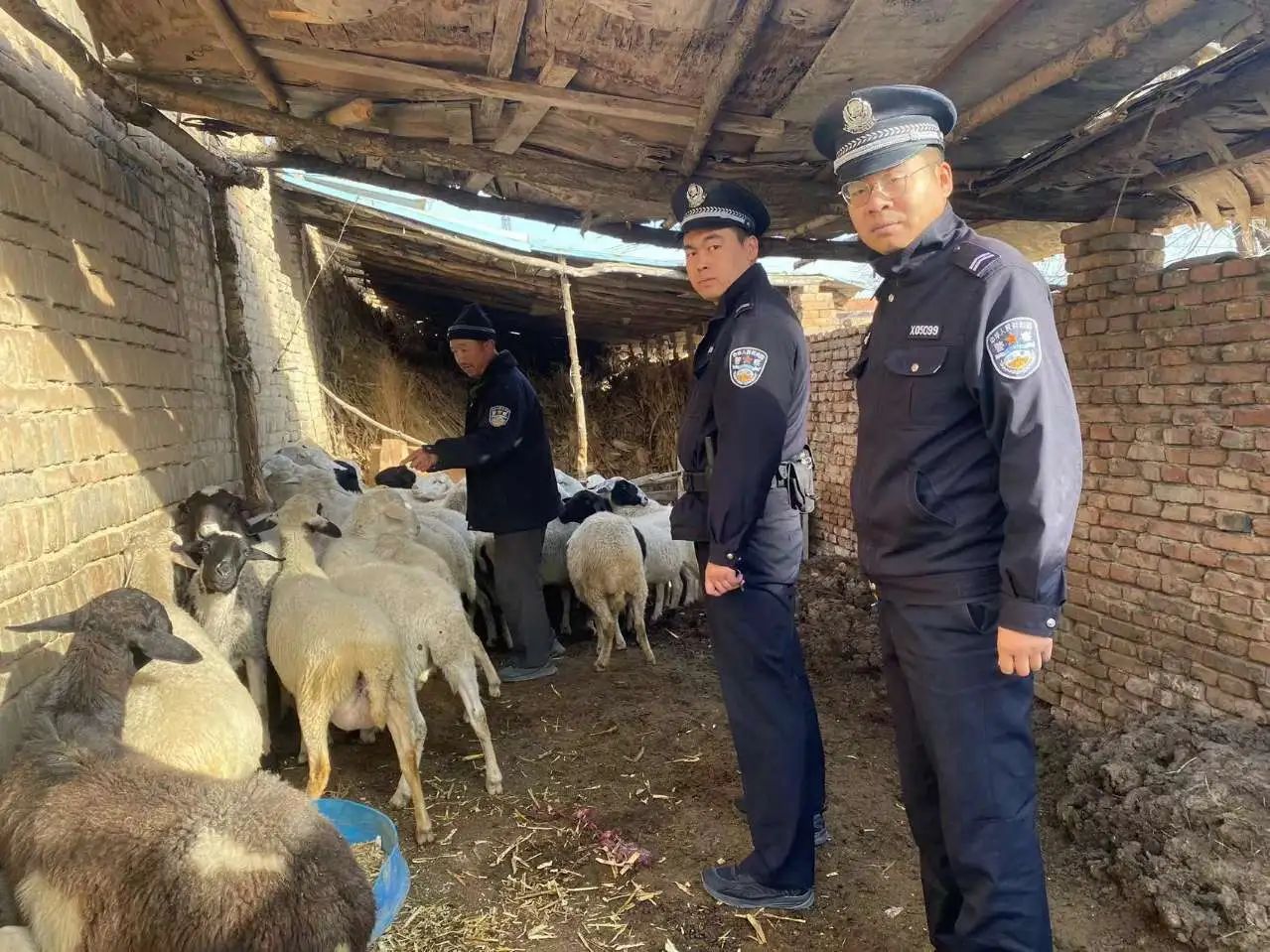 微信图片_20241125092742.jpg