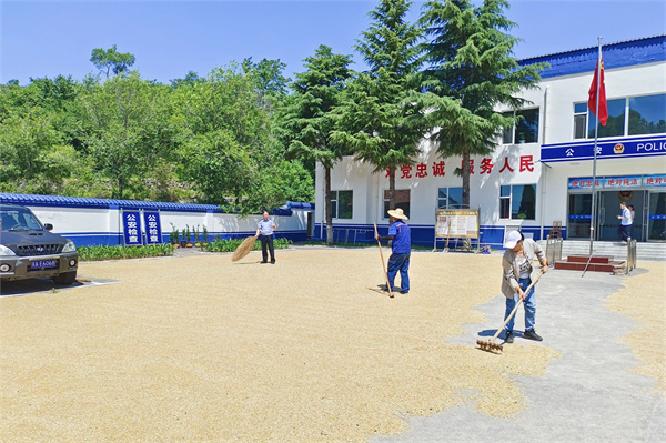 13.jpg
