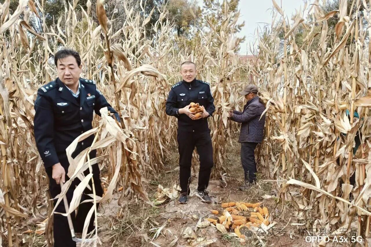 微信图片_2025-10-22_090538_889.jpg